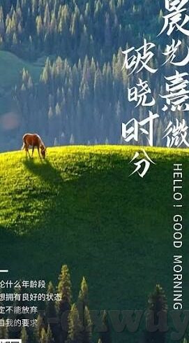 国产中文原创视频麻豆-国产中文原创视频中的麻豆现象,新娱乐风尚的崛起与文化价值探讨